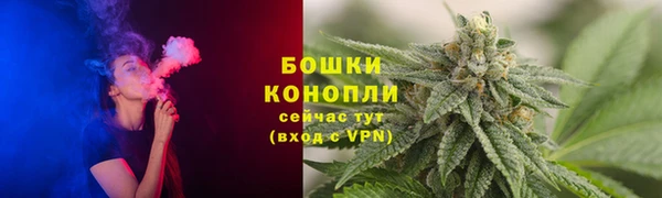 эйфоретик Иннополис