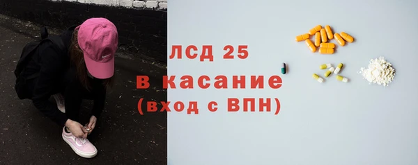 индика Абинск