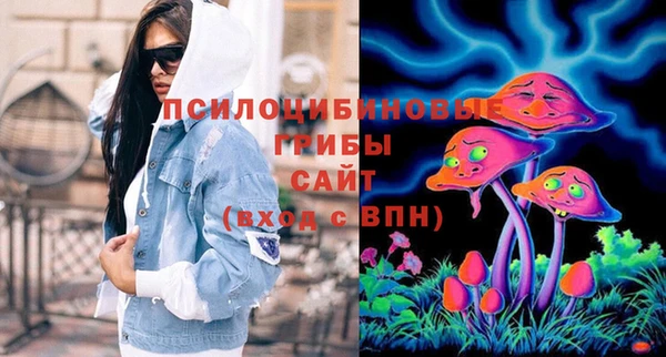 гашик Алексеевка