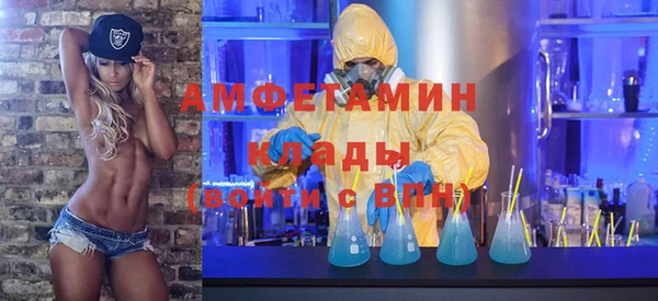 твердый Алзамай