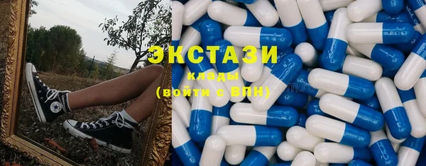 гашик Алексеевка