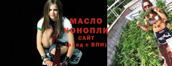 индика Абинск