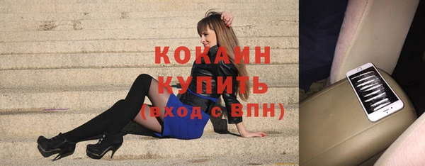 дживик Елабуга