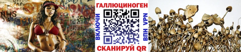 Галлюциногенные грибы мицелий  Брюховецкая 